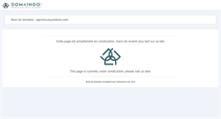 Desktop Screenshot of agromousquetaires.com
